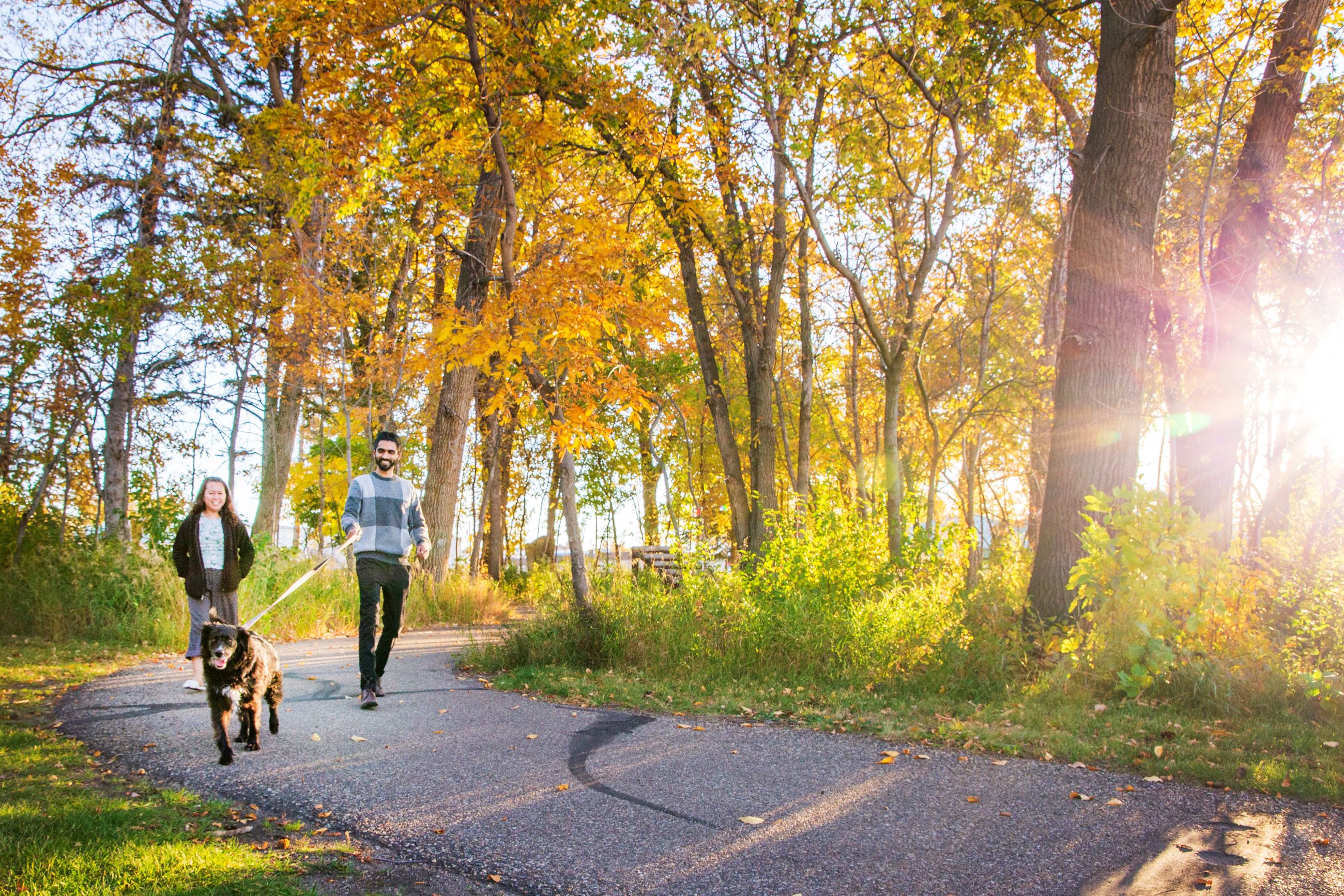Evergreen Park Pathway 7