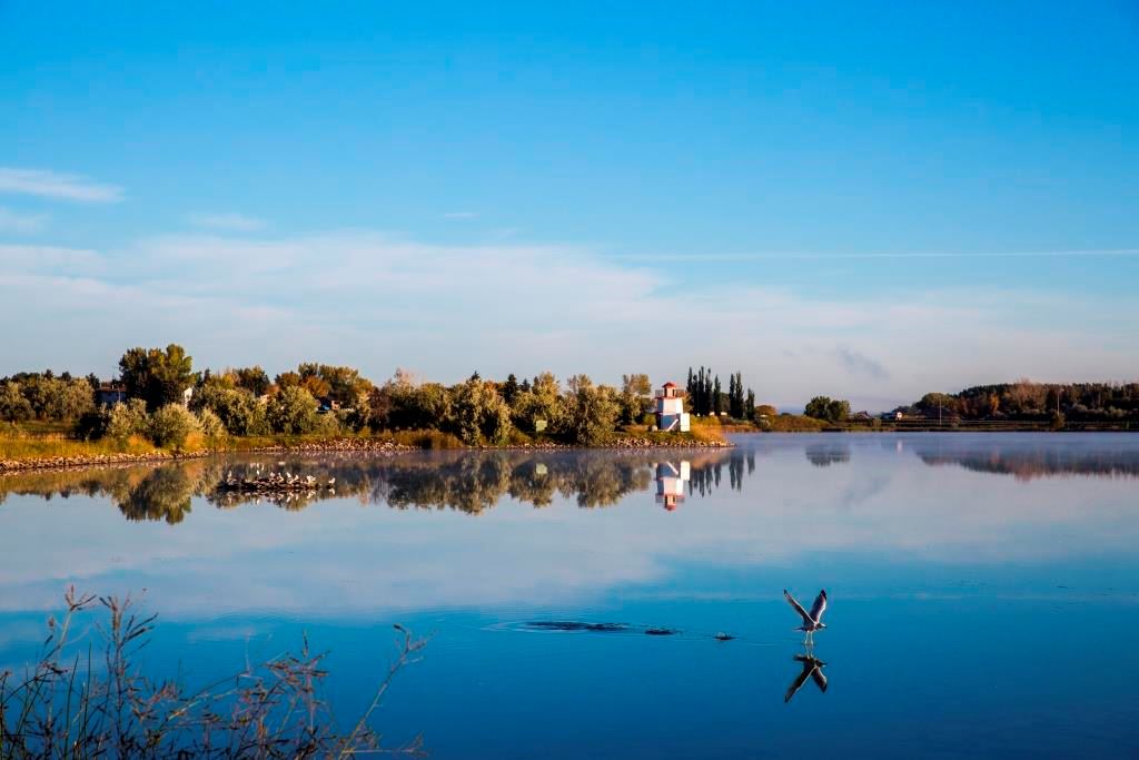 Landscape view of Lake Stafford Park from over the lake