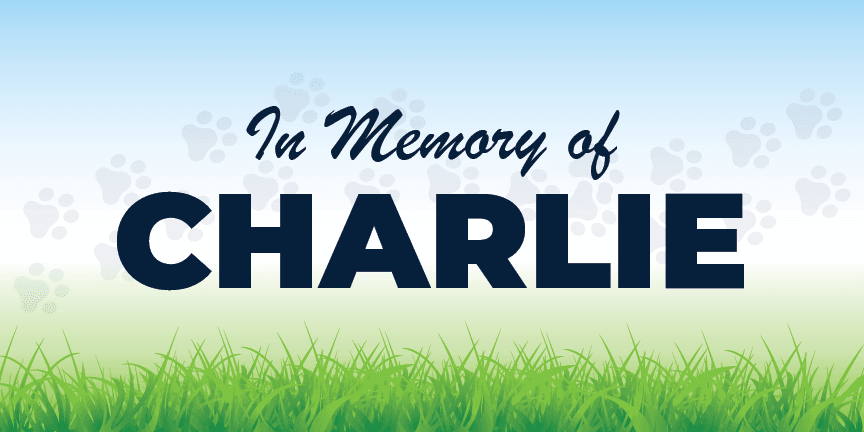 Dog Park Fundraising Sign Example